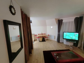 Appartement indépendant Proche Paris, Roissy CDG, Astérix, Disneyland